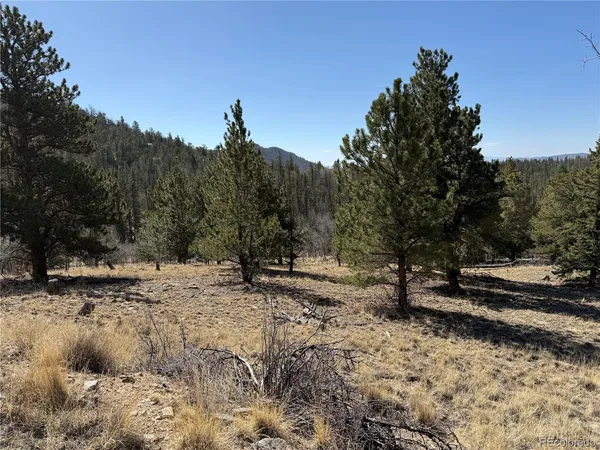 $69,000 | 234 Warclub Court, Jefferson, CO 80456