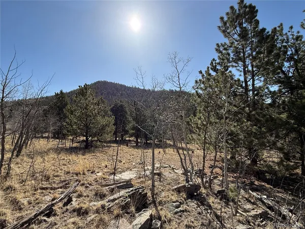 $69,000 | 234 Warclub Court, Jefferson, CO 80456