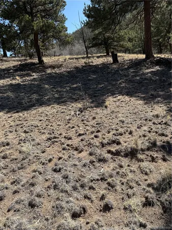 $69,000 | 234 Warclub Court, Jefferson, CO 80456