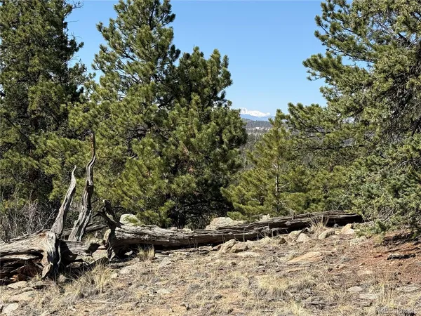 $69,000 | 234 Warclub Court, Jefferson, CO 80456