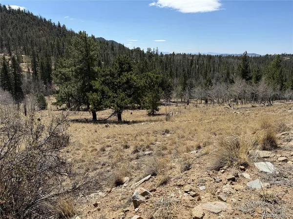 $69,000 | 234 Warclub Court, Jefferson, CO 80456