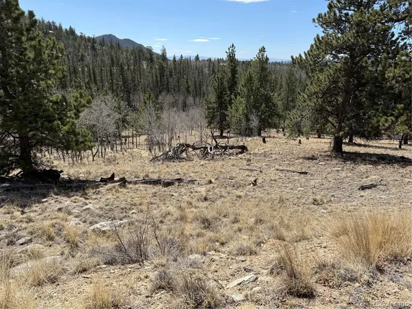 $69,000 | 234 Warclub Court, Jefferson, CO 80456