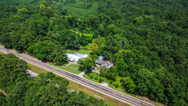 a view of a garden with statue