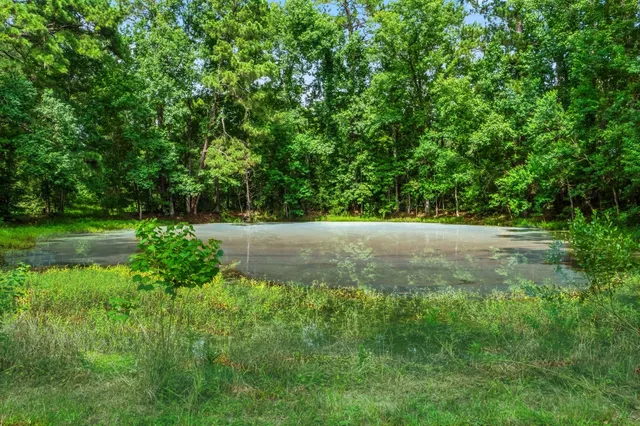 a view of a house with a yard deck and a large tree