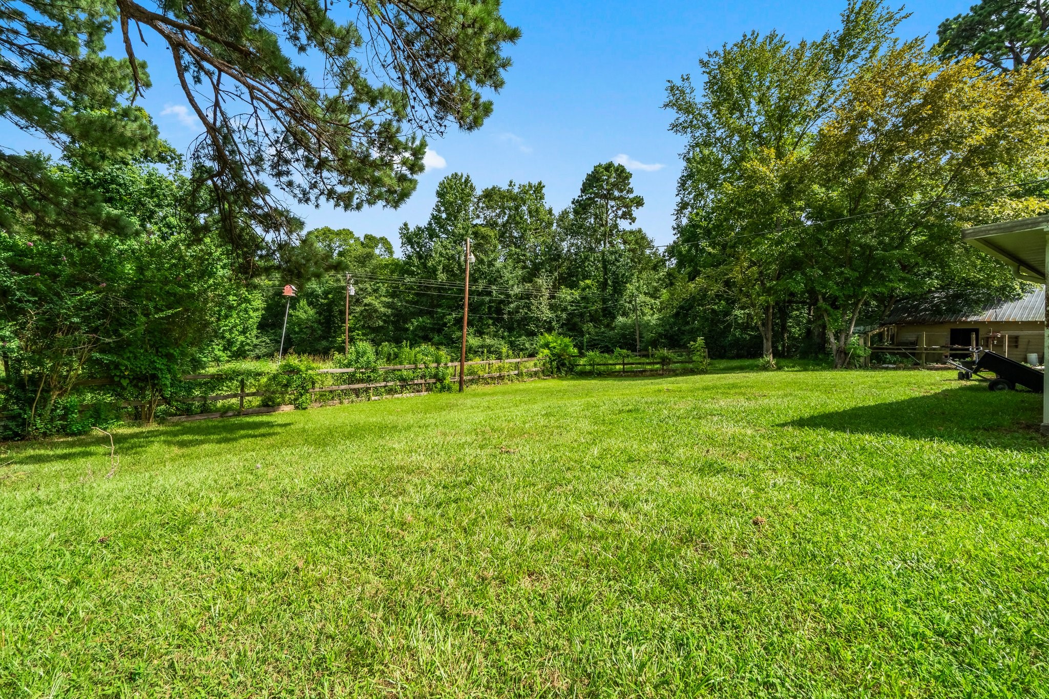 2446 Highway 116 Loop Livingston, TX 77351 - Photo 7 of 50 Spacious backyard with lush greenery, mature trees, and a partial view of a neighboring structure. Ideal for outdoor activities and enjoying nature.