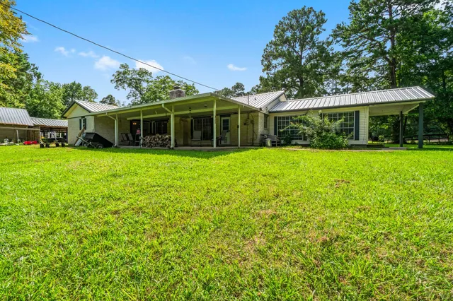 a view of a park with large trees
