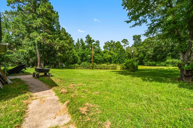 a view of green field with trees in the background