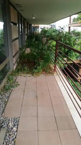 $3,245 | 7131 East Rancho Vista Drive, Unit 5002, Scottsdale, AZ 85251