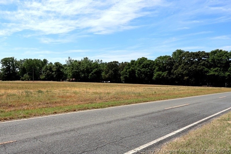 Tbd North Duffie Road Red Springs, NC 28377 - Photo 14 of 24 a view of a yard