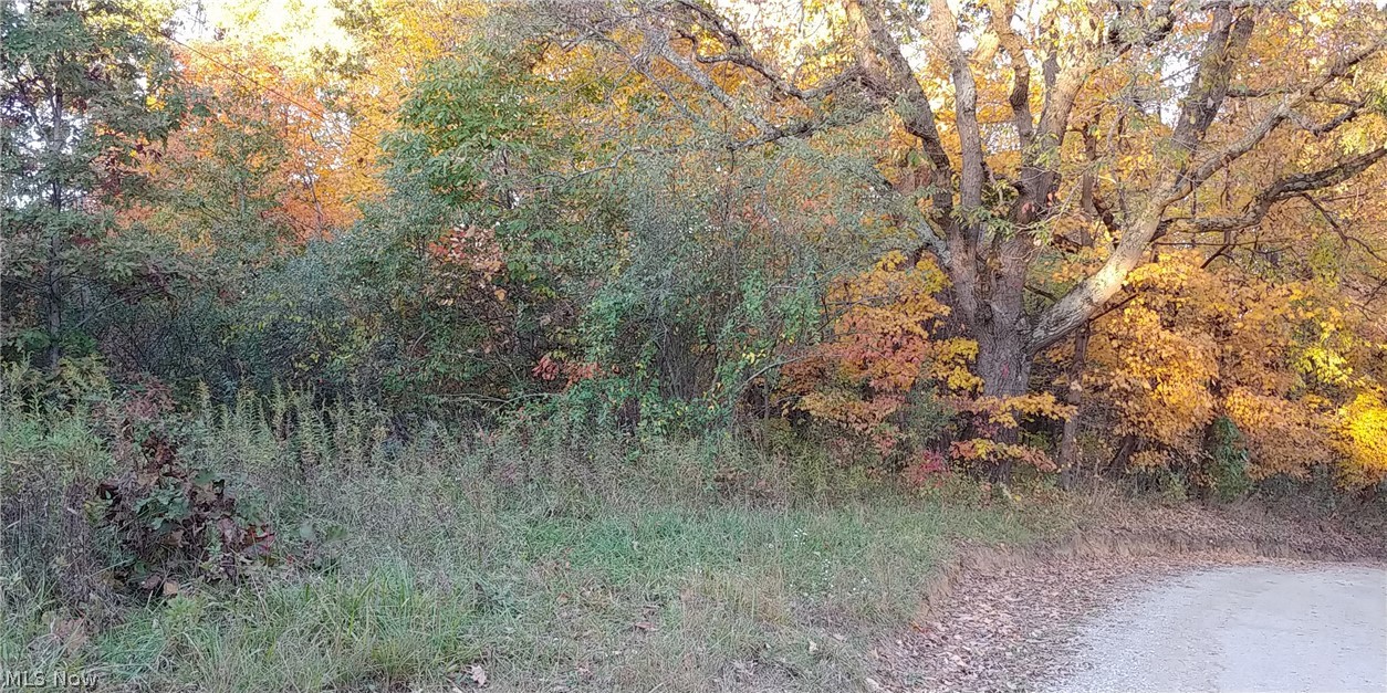 2450 Keffer Road Stockport, OH 43787 - Photo 23 of 35