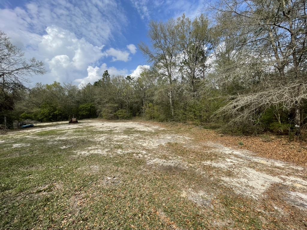 4223 Poverty Creek Road Crestview, FL 32539 - Photo 15 of 27 a view of a field with an trees