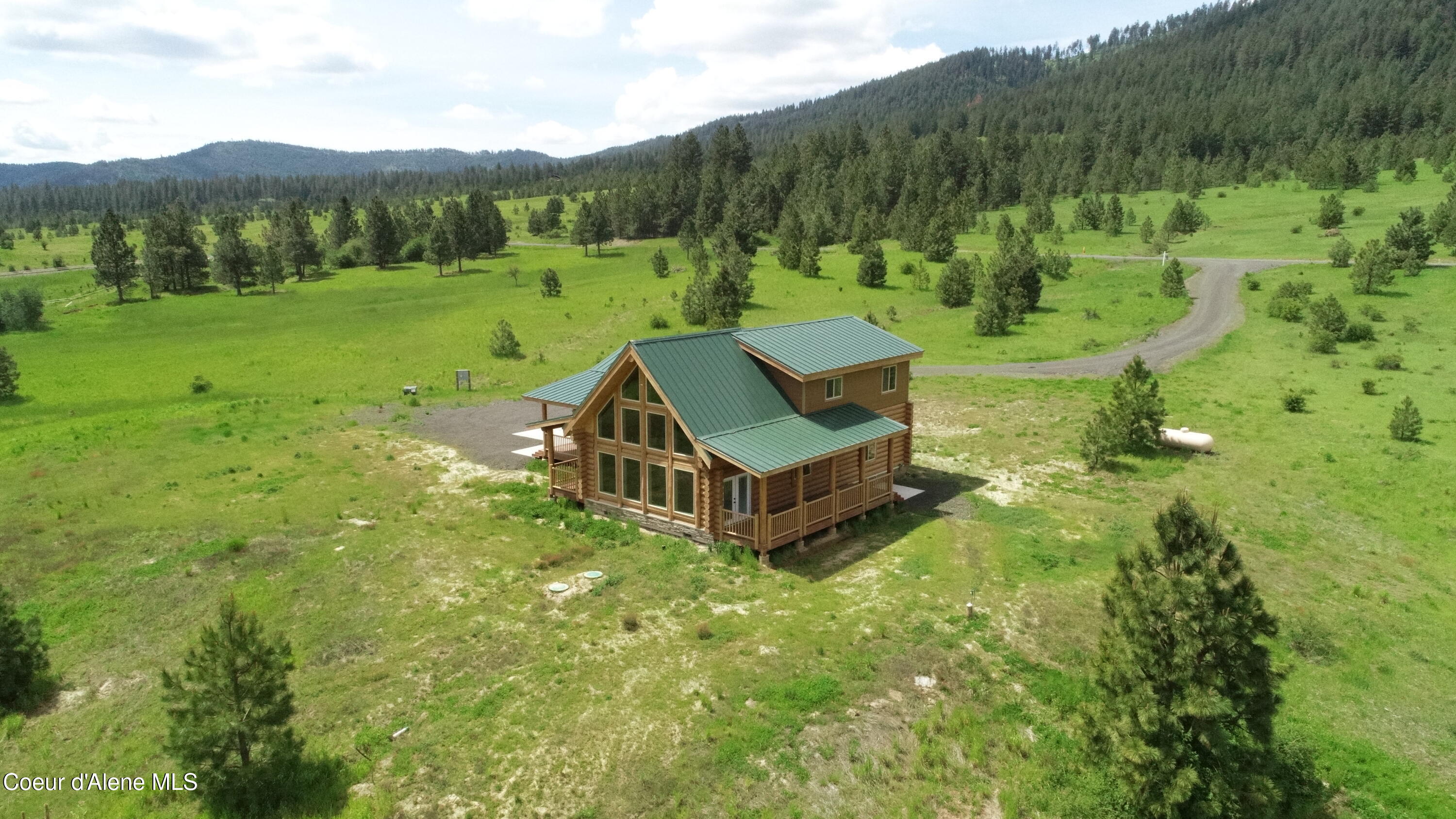 293 Vine Maple Desmet, ID 83824 - Photo 7 of 29 7