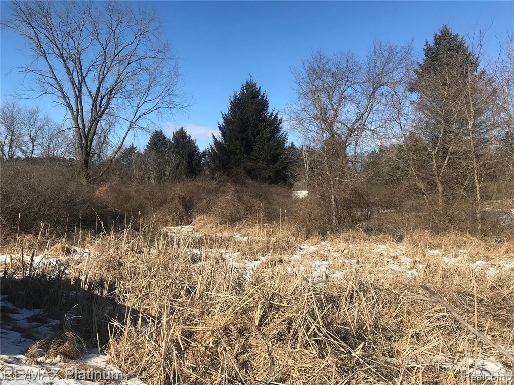 9525 Oak Grove Road Howell, MI 48855 - Photo 10 of 14