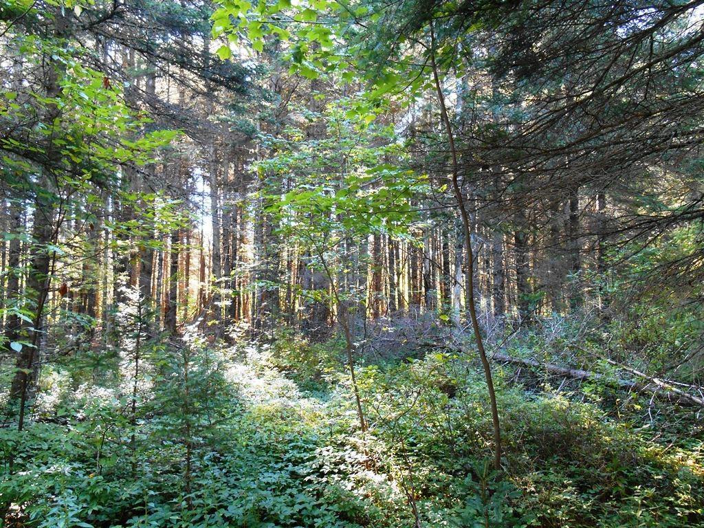 Map R-5-lo Map R-5-lo Tim Pond Road Eustis, ME 04936 - Photo 8 of 14 Photo