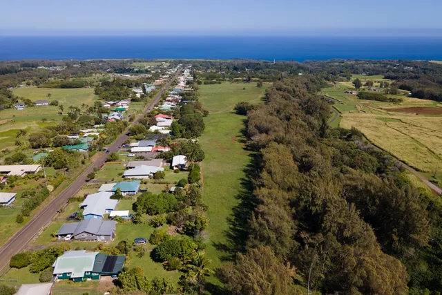 a view of a city with ocean