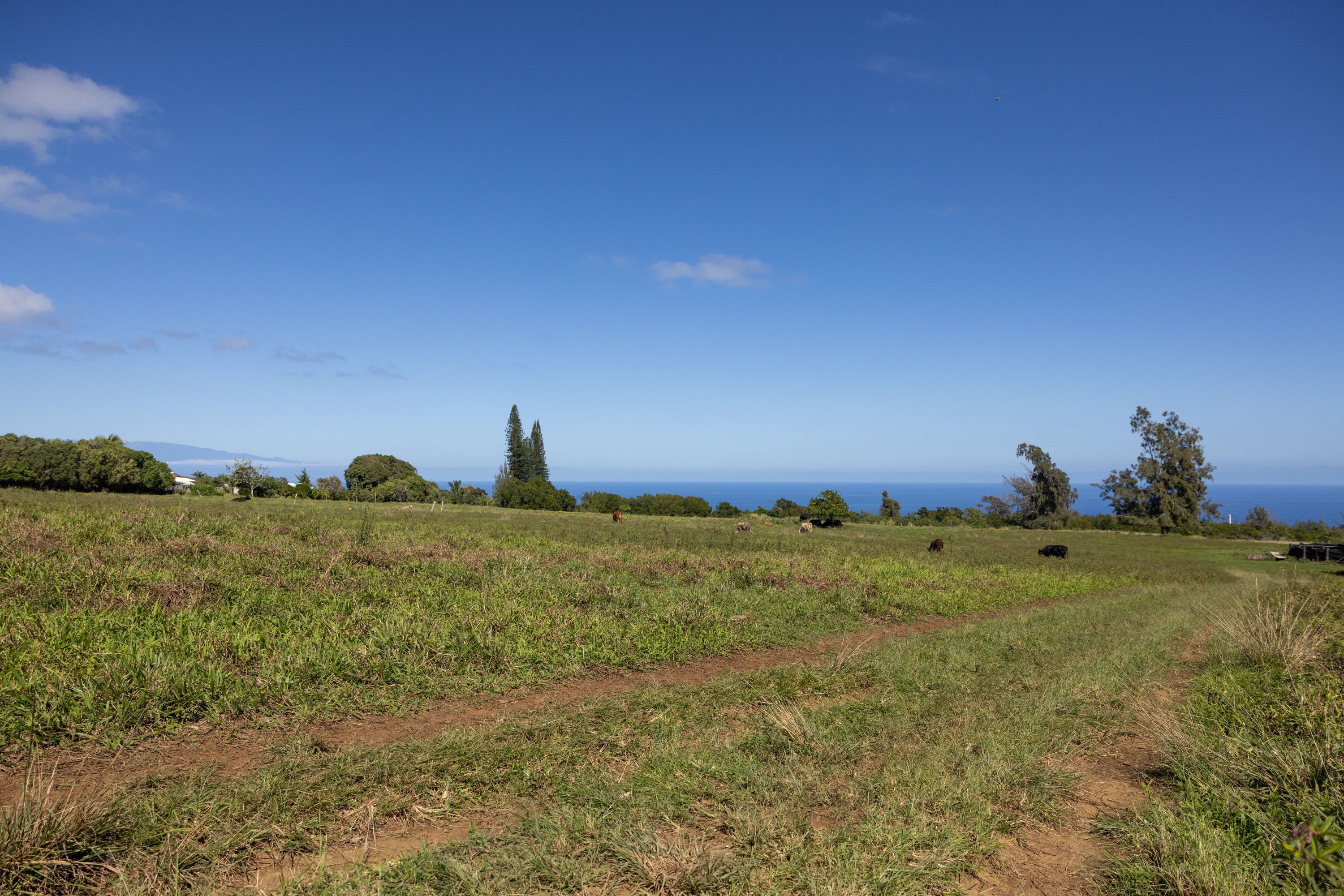 54-2340 Kynnersley Road Kapaau, HI 96755 - Photo 13 of 23