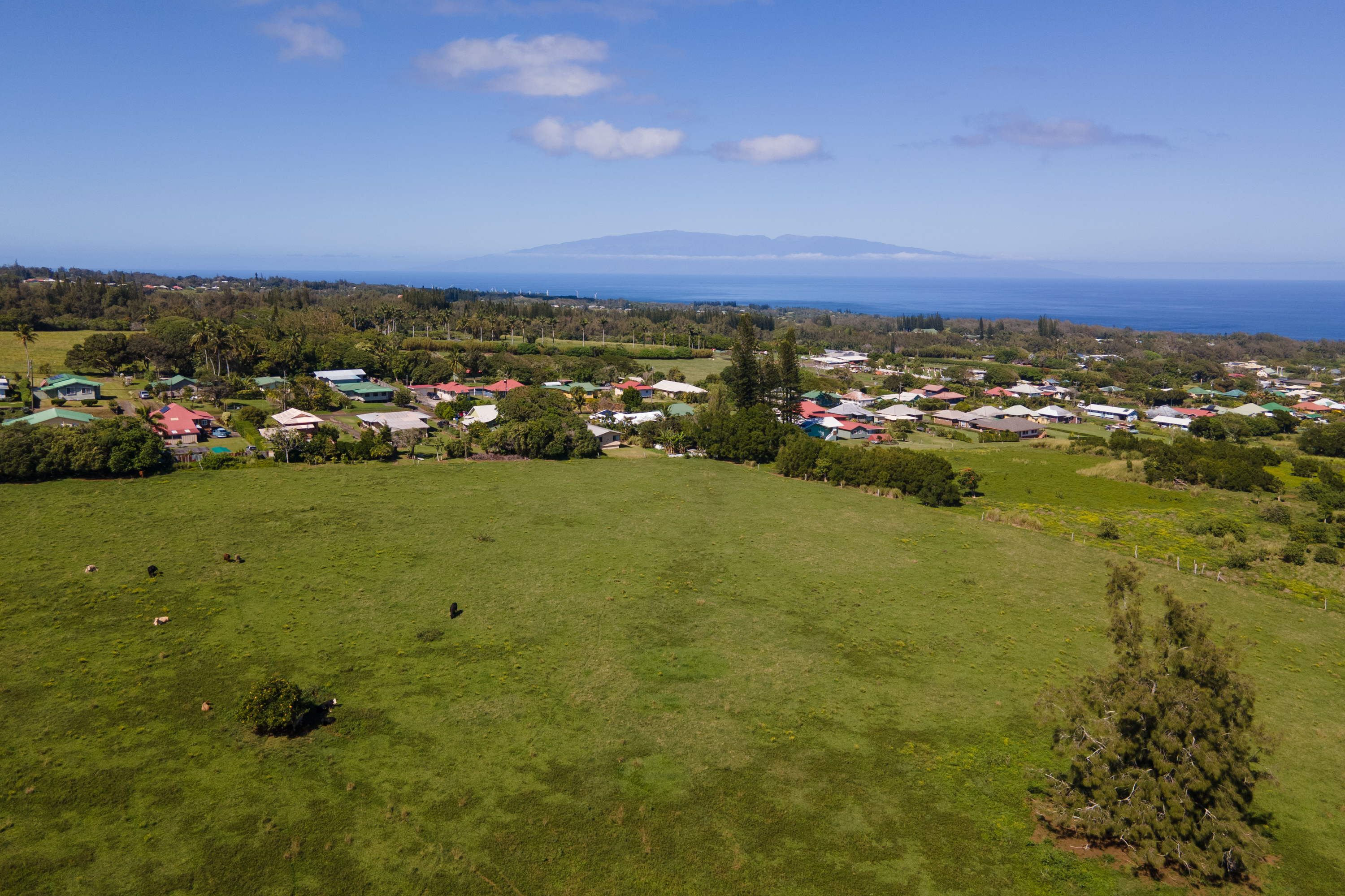 54-2340 Kynnersley Road Kapaau, HI 96755 - Photo 14 of 23 a view of a city