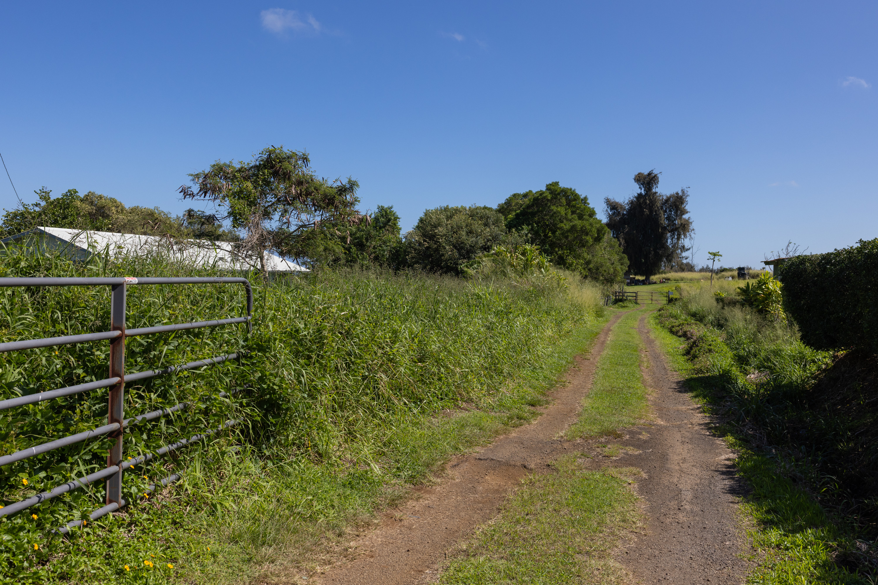 54-2340 Kynnersley Road Kapaau, HI 96755 - Photo 19 of 23 a picture of a yard