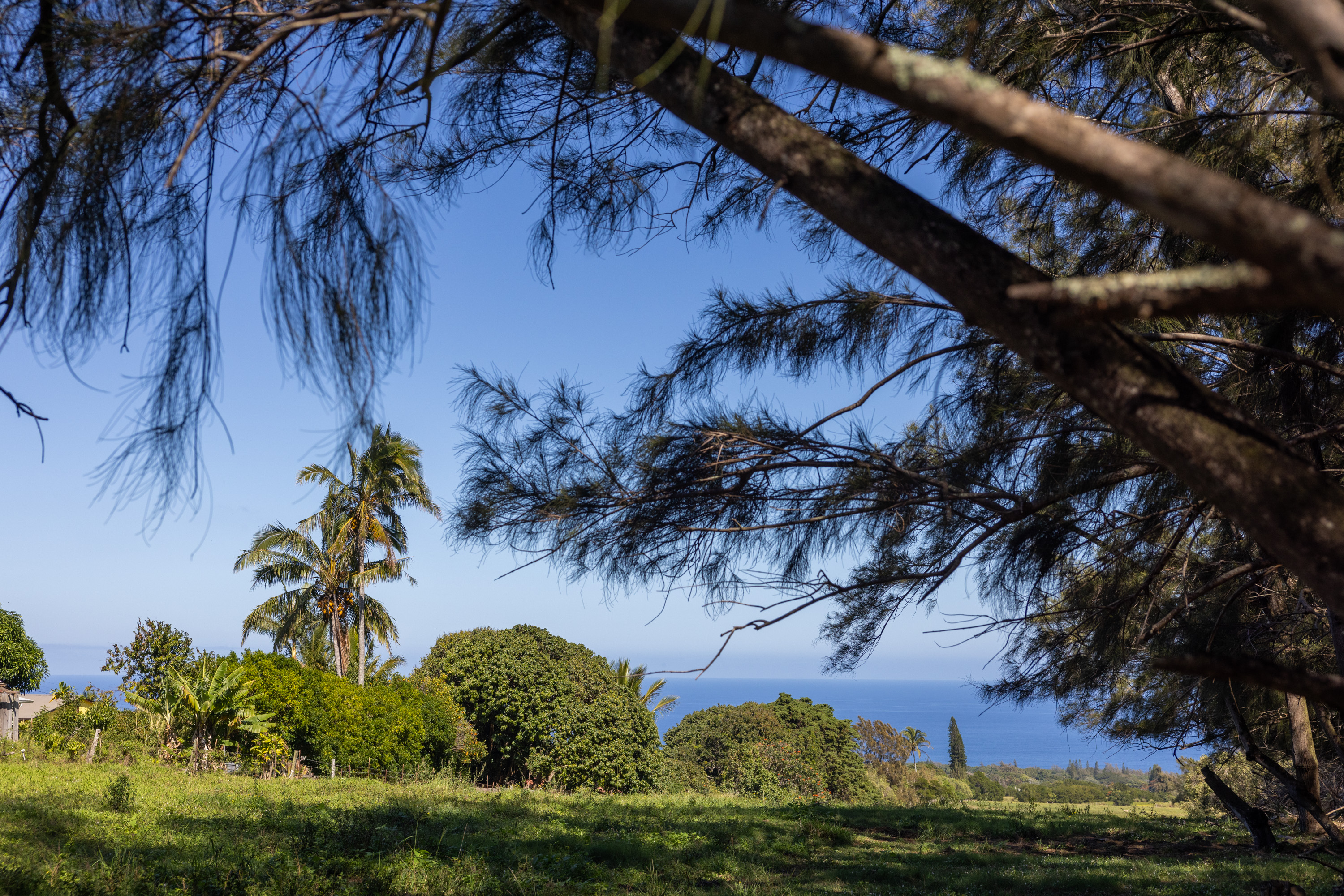 54-2340 Kynnersley Road Kapaau, HI 96755 - Photo 7 of 23