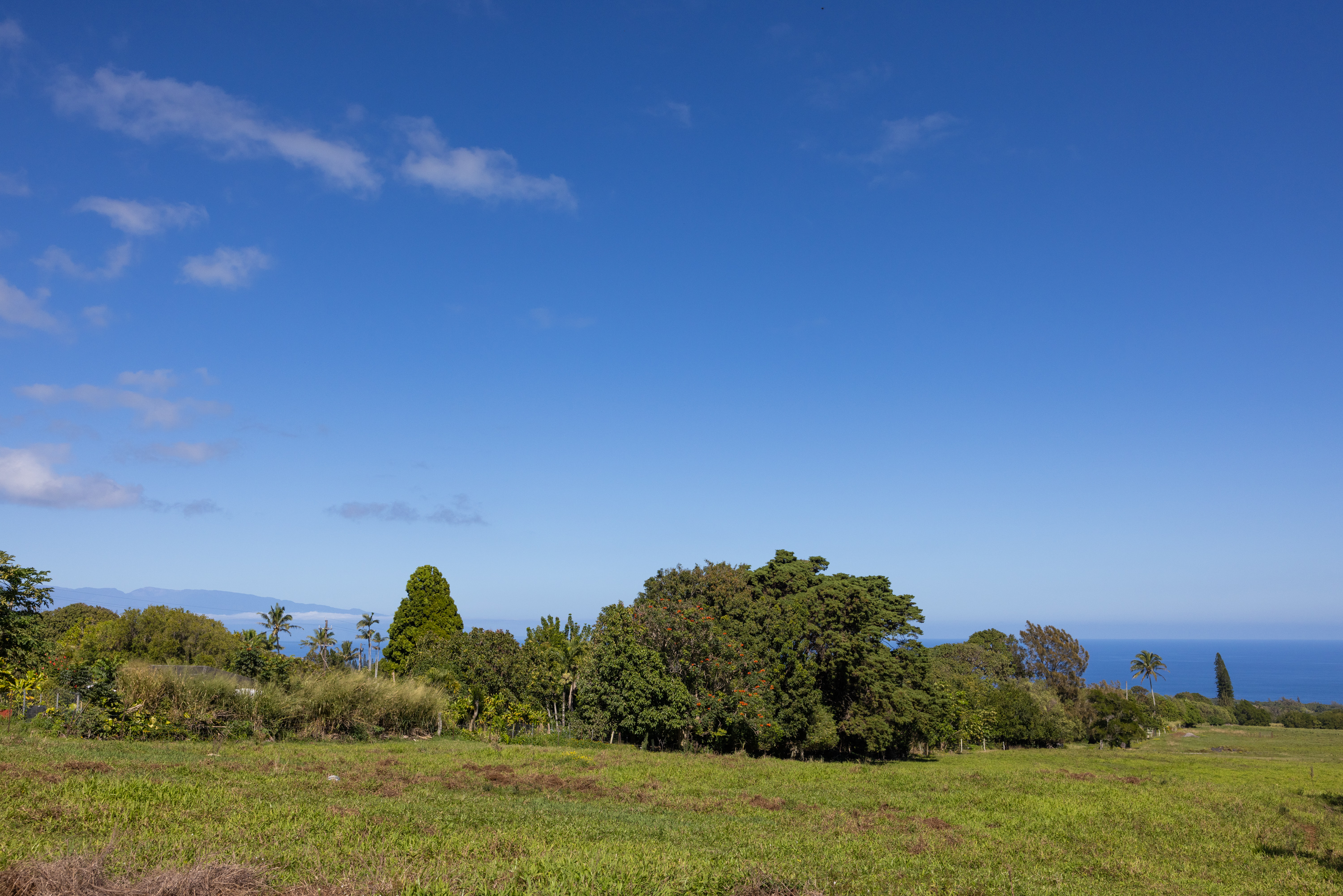 54-2340 Kynnersley Road Kapaau, HI 96755 - Photo 9 of 23 a view of a field