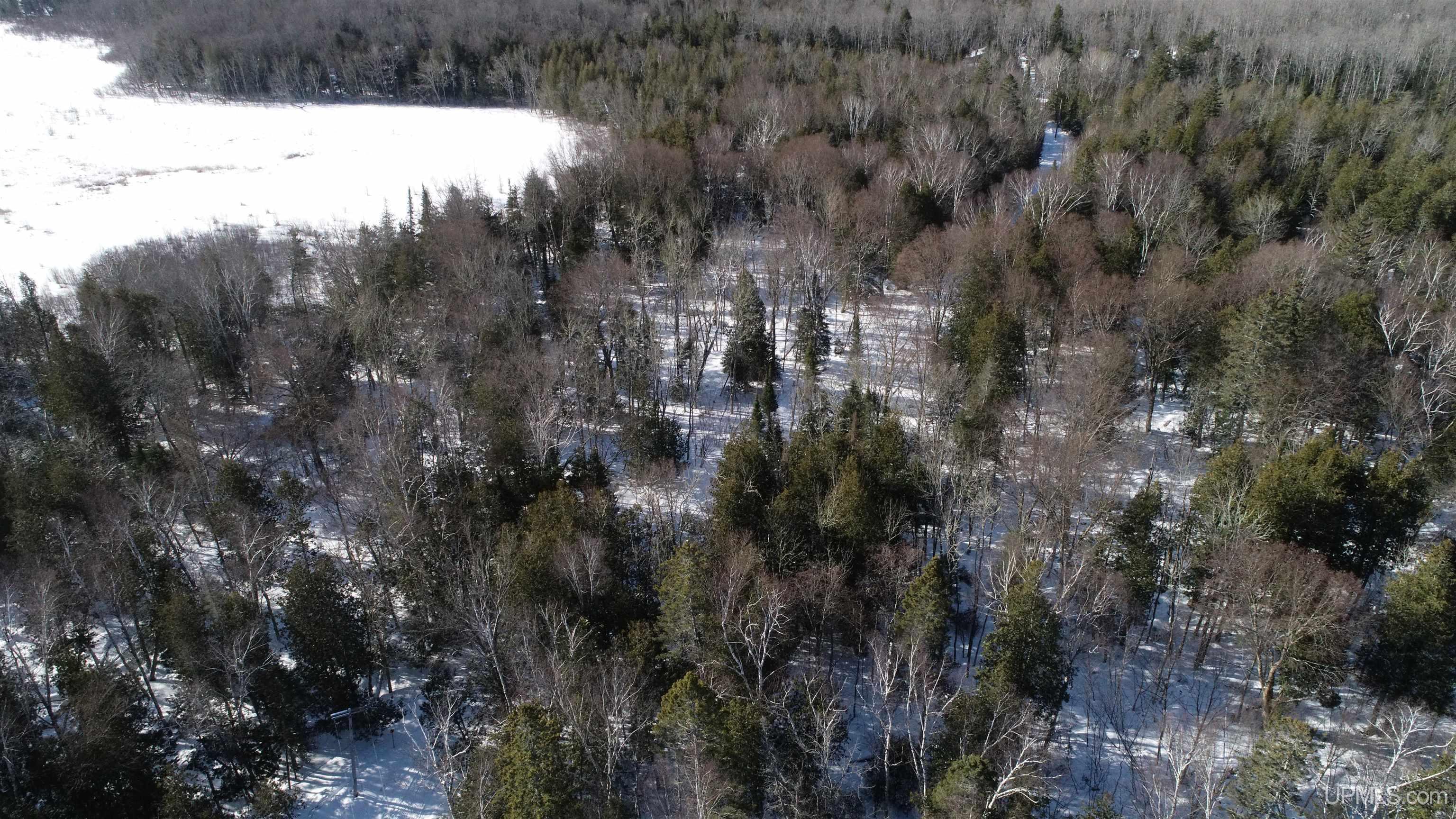 Tbd Tbd Long Point Road Curtis, MI 49820 - Photo 18 of 77
