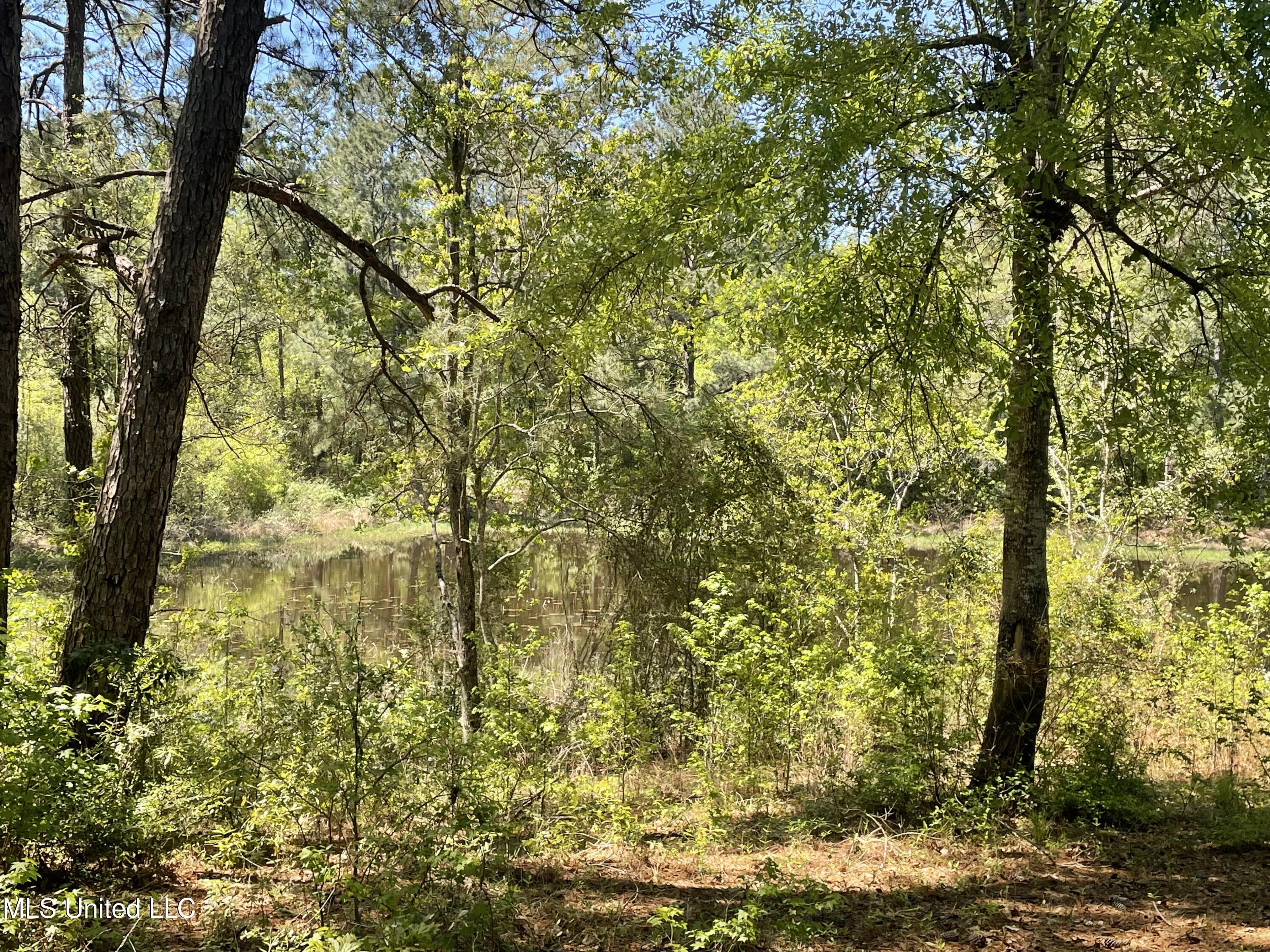 381 Burgetown Road Picayune, MS 39466 - Photo 11 of 11 Pond 3