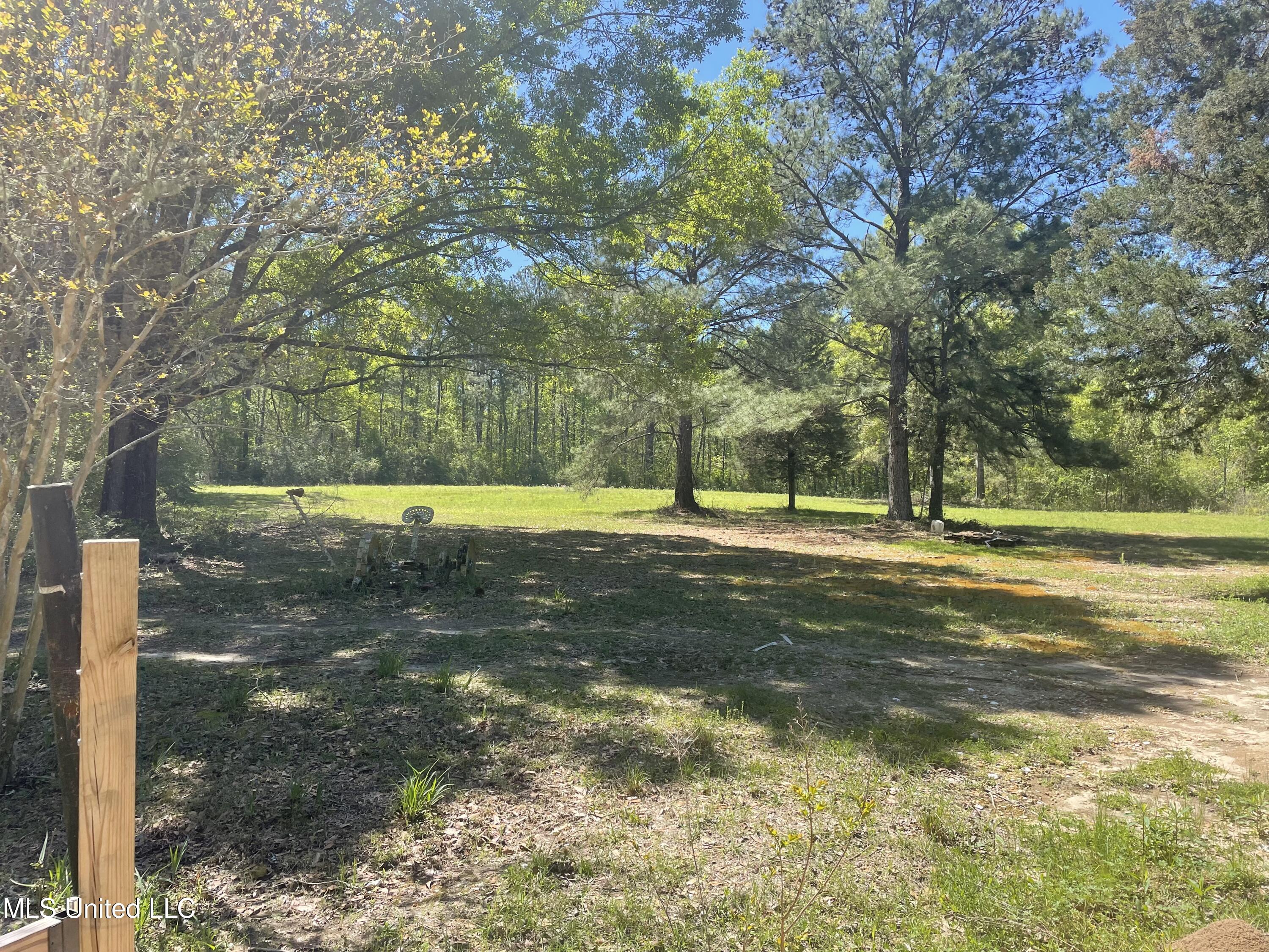 381 Burgetown Road Picayune, MS 39466 - Photo 6 of 11 Land 1