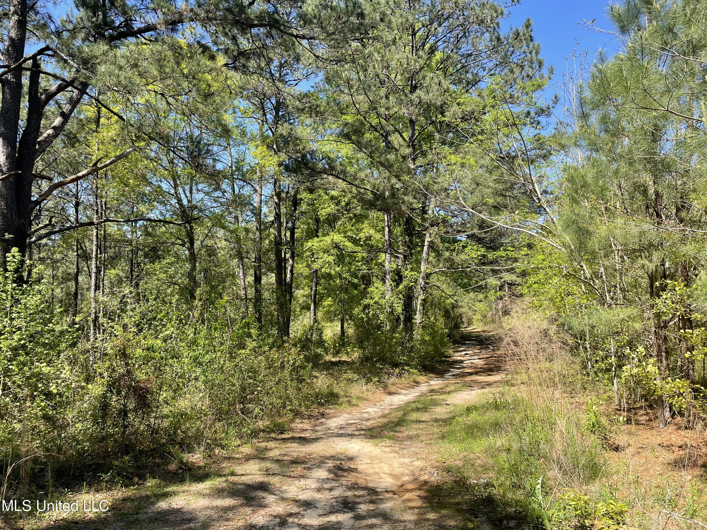 381 Burgetown Road Picayune, MS 39466 - Photo 7 of 11 Land 3