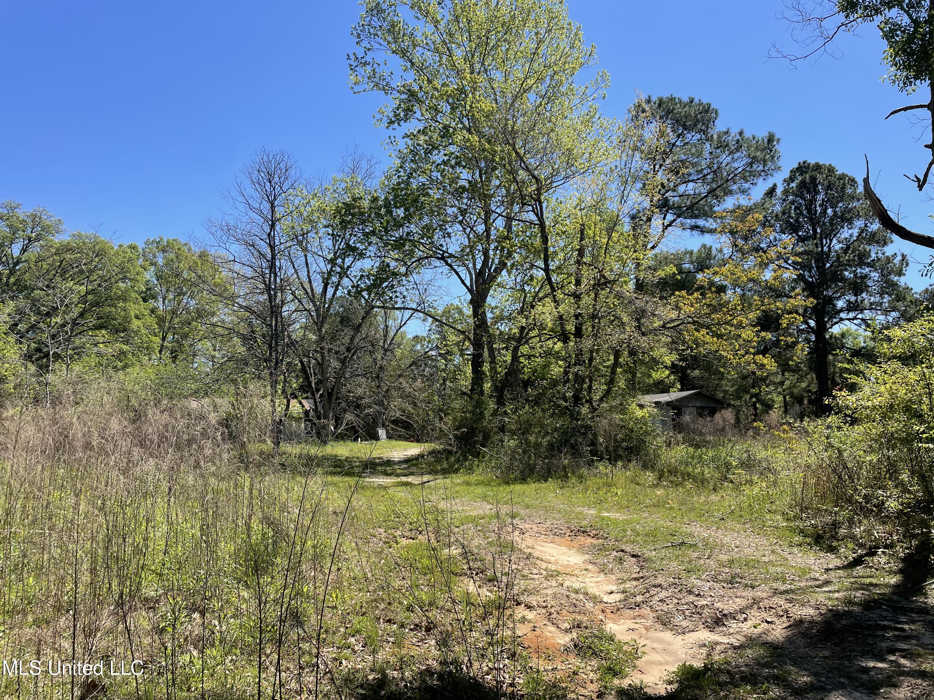 381 Burgetown Road Picayune, MS 39466 - Photo 8 of 11 Land 2