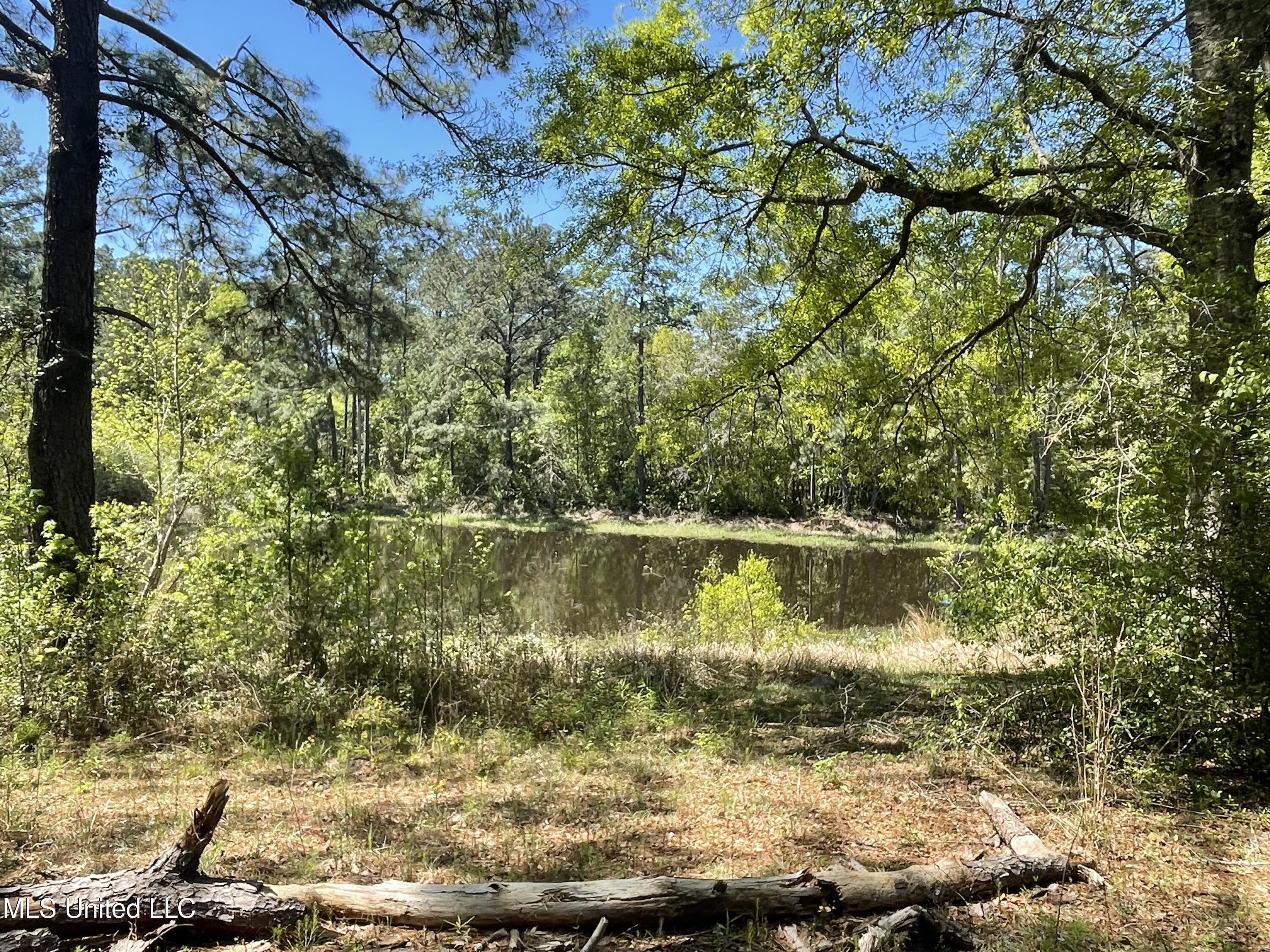 381 Burgetown Road Picayune, MS 39466 - Photo 9 of 11 Pond 1