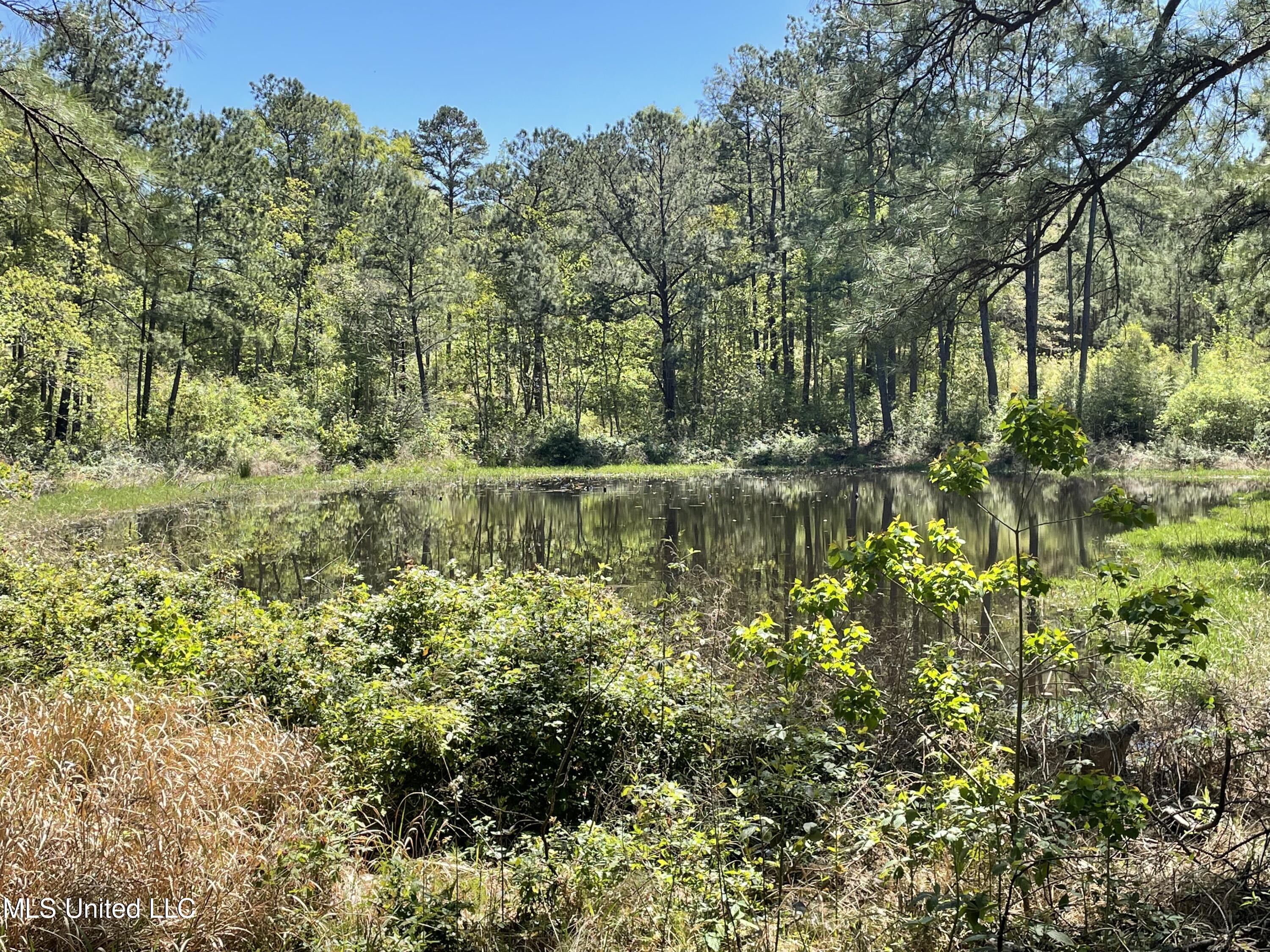 381 Burgetown Road Picayune, MS 39466 - Photo 10 of 11 Pond 2