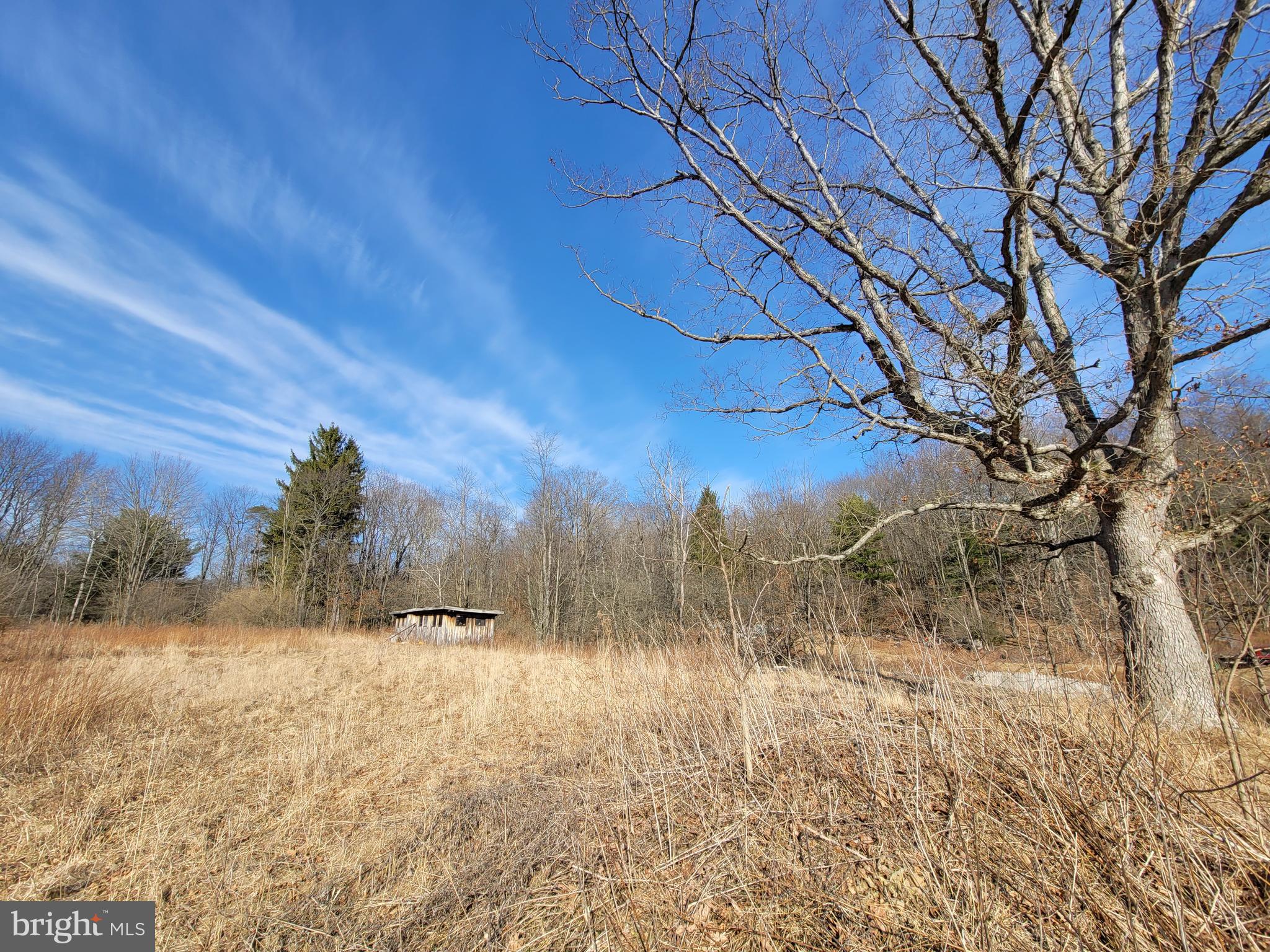 Hardscrabble Road Munson, PA 16860 - Photo 1 of 4 Cleared lot