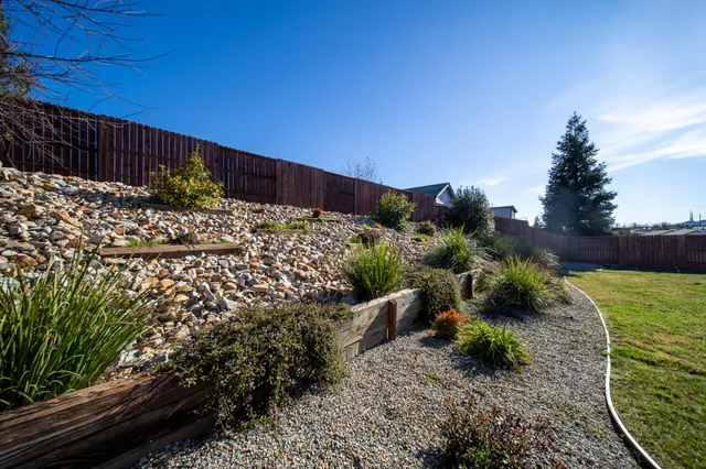 a view of a garden with plants