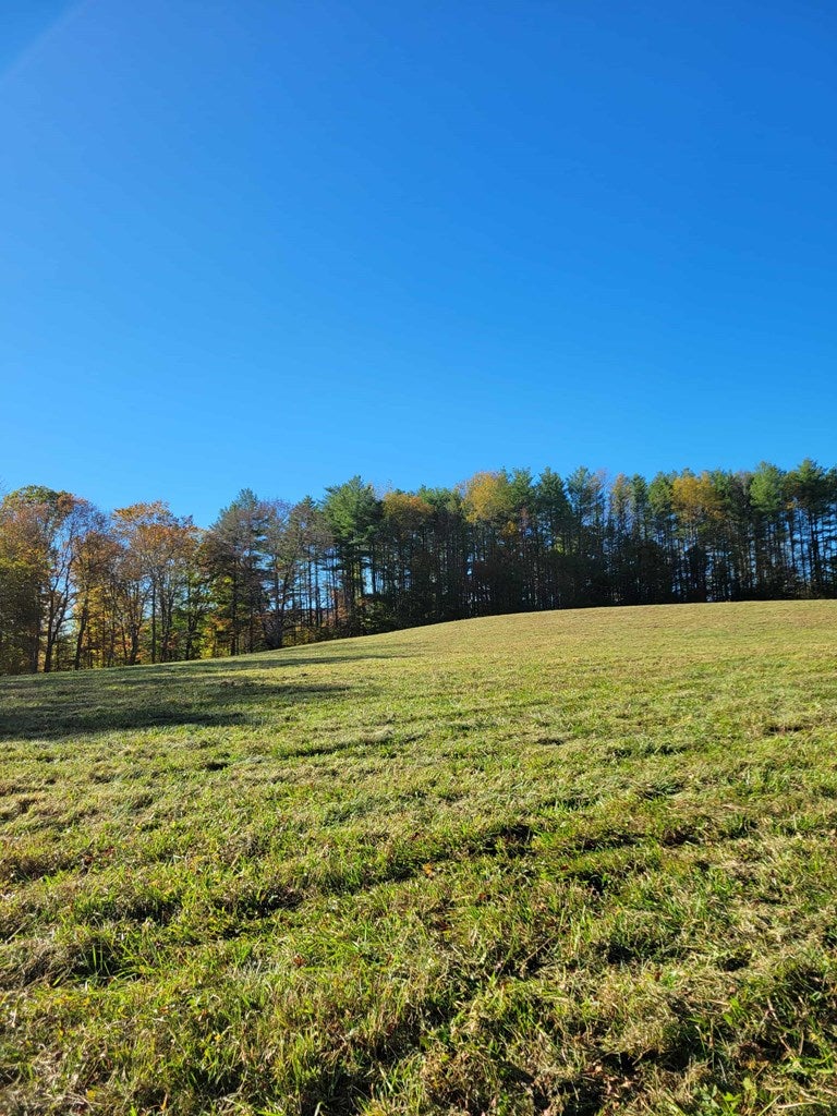 0 Hurricane Ridge Road Charmco, WV 25958 - Photo 8 of 18 Gallery Image 8
