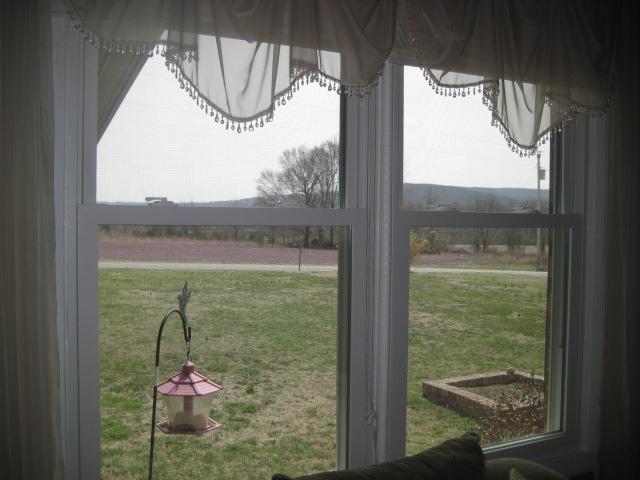 3451 Sainville Road Manchester, TN 37355 - Photo 18 of 20 Beautiful view of the mountains out of one of the updated double hung windows.