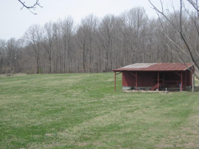 3451 Sainville Road Manchester, TN 37355 - Photo 3 of 20 Back of the property is mostly wooded. Barn would be great for horses. Well water and electric is run to barn.