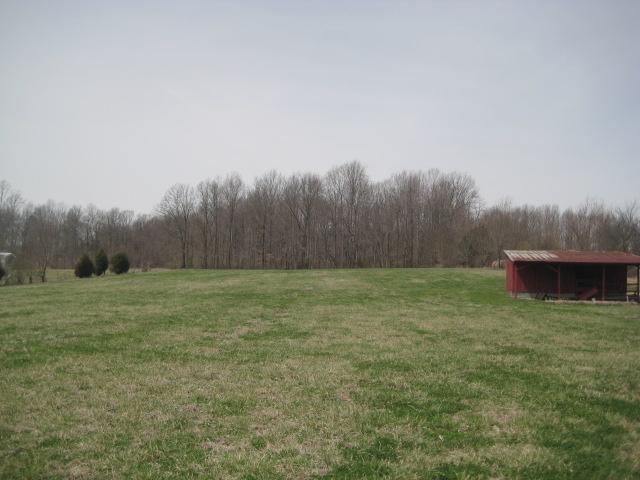 3451 Sainville Road Manchester, TN 37355 - Photo 5 of 20 The back of the 8.28 acre property is mostly wooded.
