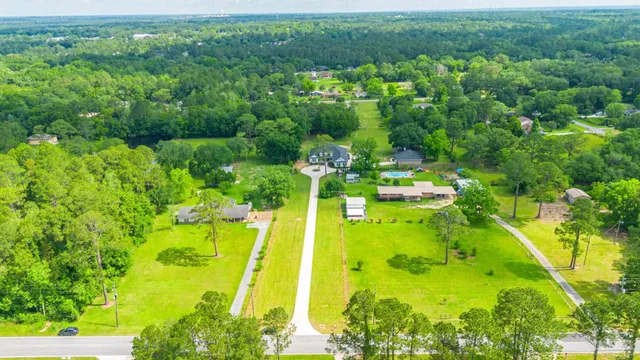 a living room with furniture flowerpot and wooden floor