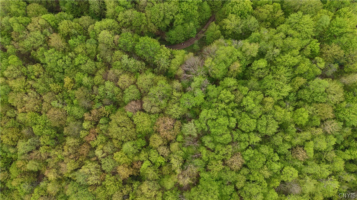 Lot #9 Lost Ridge Road, Unit 9 Camden, NY 13316 - Photo 9 of 27