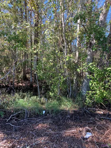 $35,000 | Tbd Stephensville Road, Morgan City, LA 70380