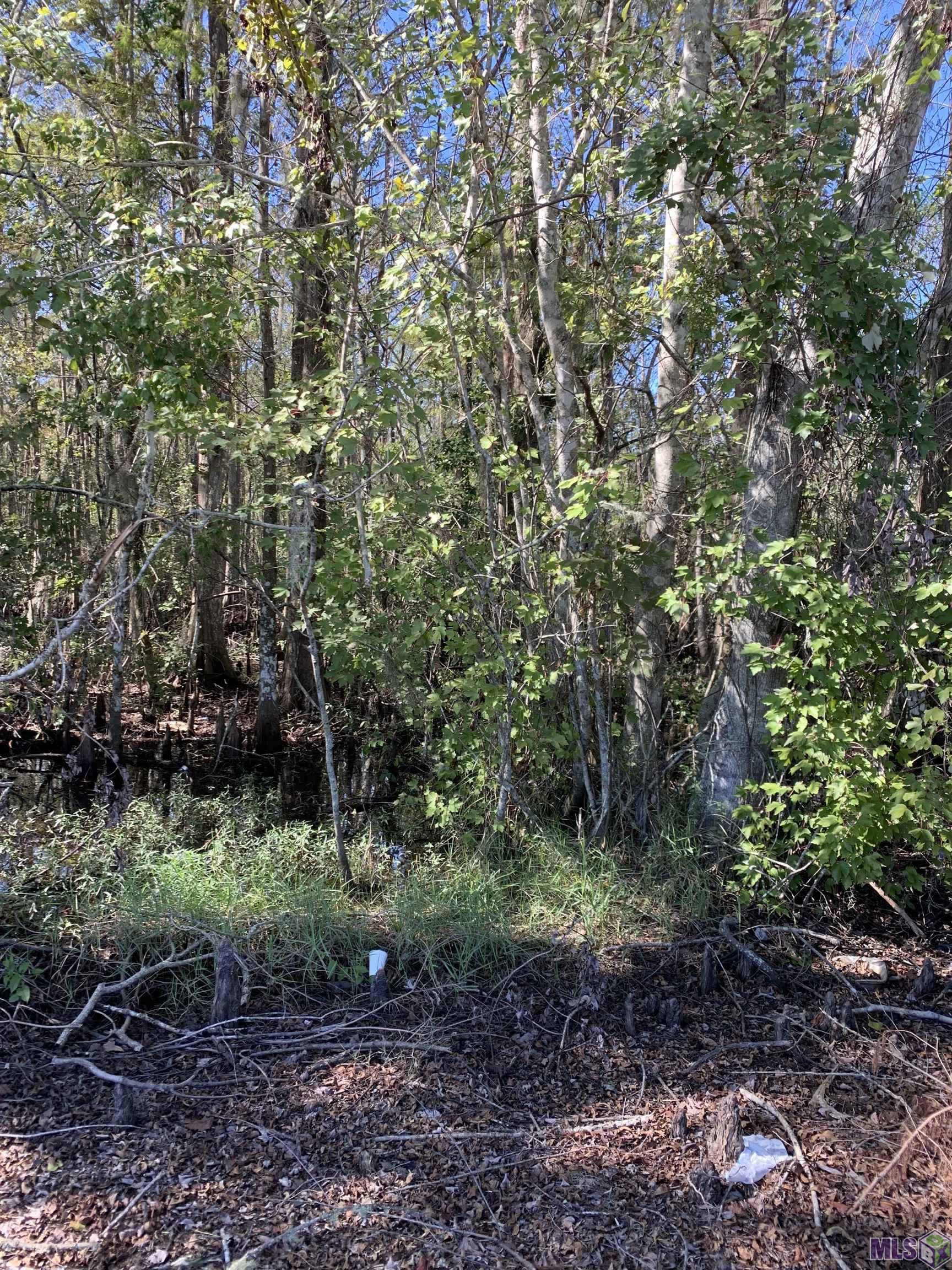 Tbd Stephensville Road Morgan City, LA 70380 - Photo 2 of 2