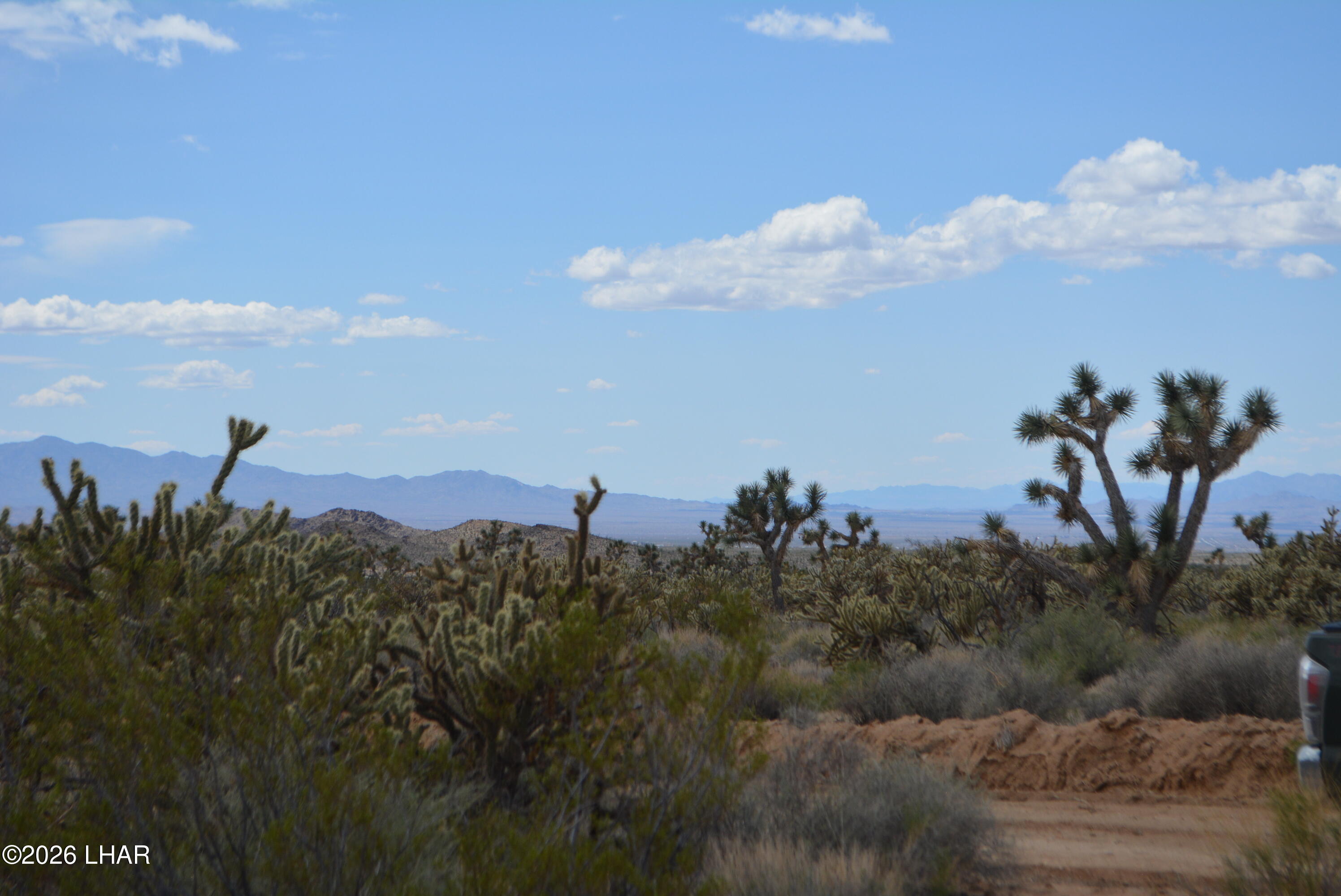 11900 Alan Road Yucca, AZ 86438 - Photo 85 of 93 DSC_1391