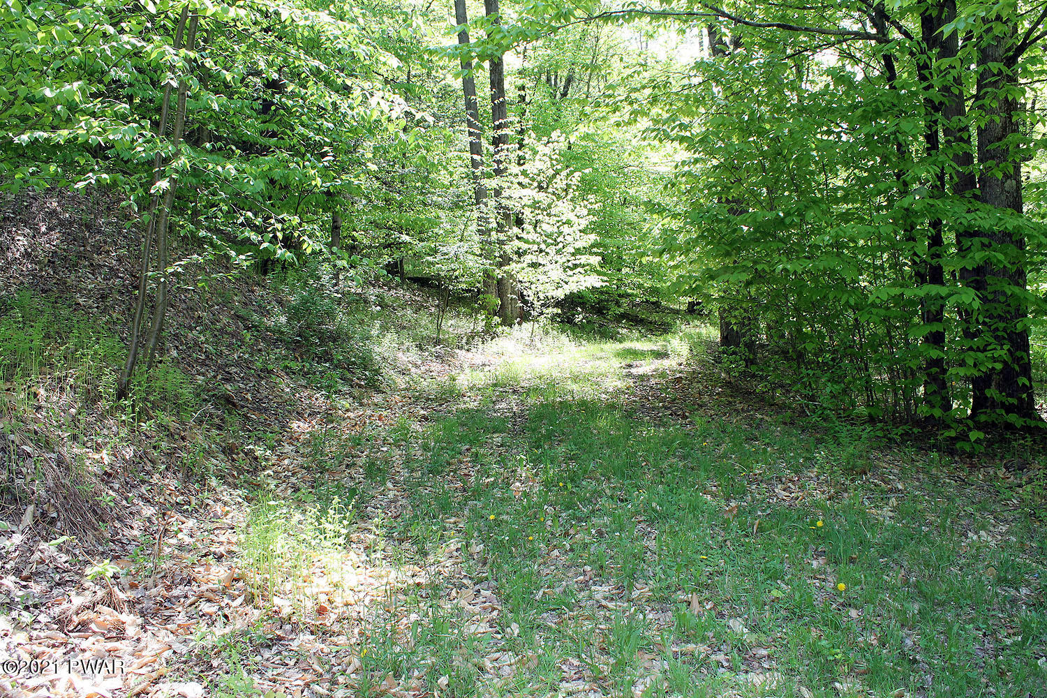 3 Robbs Road Damascus, PA 18415 - Photo 2 of 13 Driveway