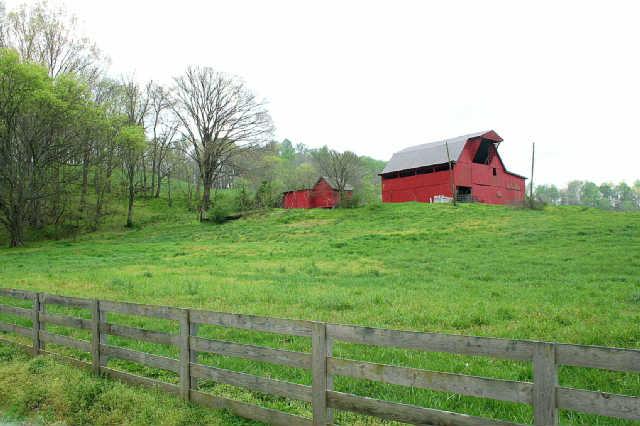1 Raleigh-Elam Road Santa Fe, TN 38482 - Photo 12 of 13 Property has approximately 1300 feet of road frontage