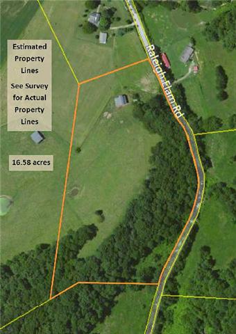 1 Raleigh-Elam Road Santa Fe, TN 38482 - Photo 13 of 13 Estimated property lines