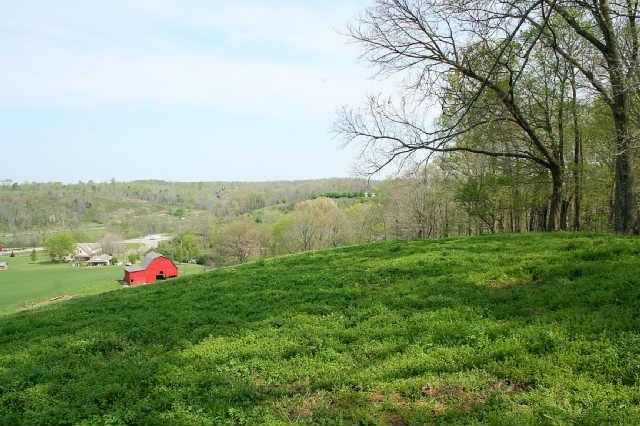 1 Raleigh-Elam Road Santa Fe, TN 38482 - Photo 3 of 13 Knoll with at view