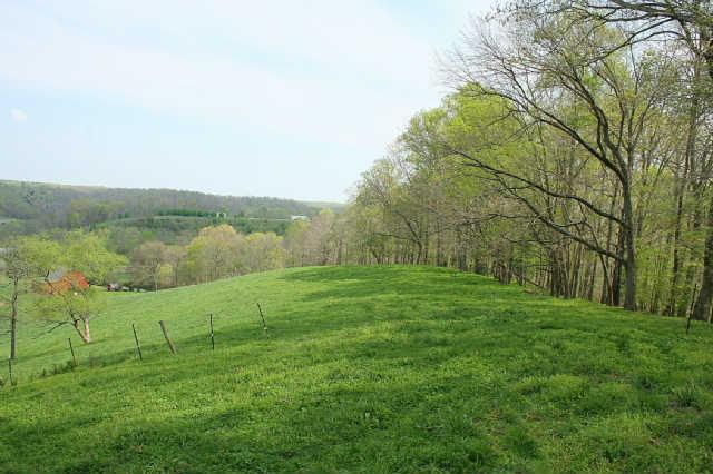 1 Raleigh-Elam Road Santa Fe, TN 38482 - Photo 4 of 13