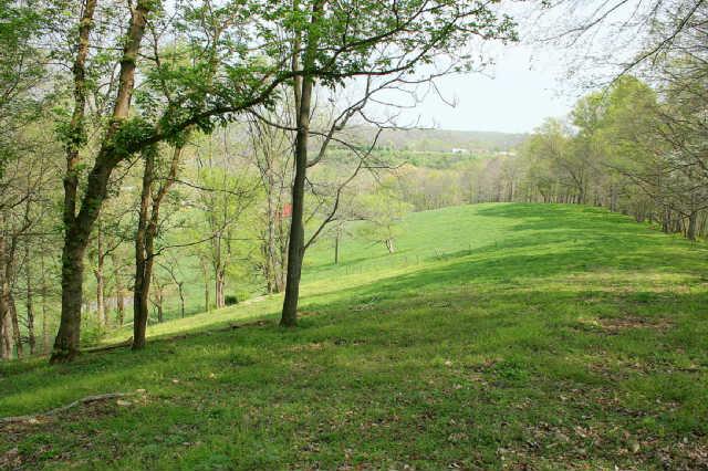 1 Raleigh-Elam Road Santa Fe, TN 38482 - Photo 5 of 13 Looking across the ridge