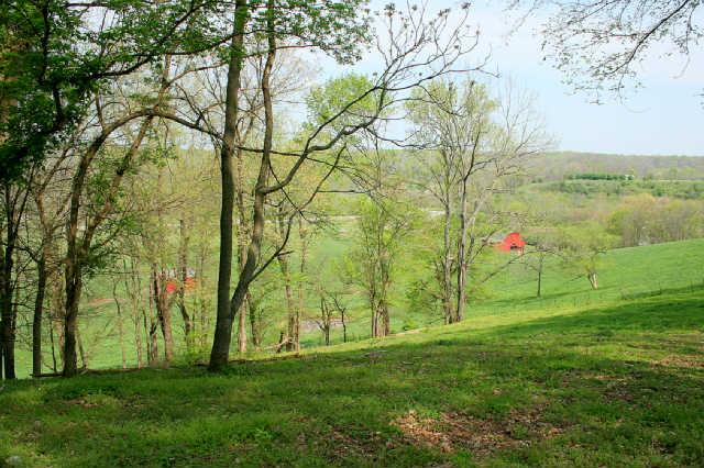 1 Raleigh-Elam Road Santa Fe, TN 38482 - Photo 7 of 13 Looking down from the ridge