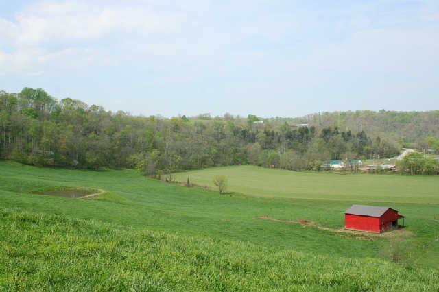 1 Raleigh-Elam Road Santa Fe, TN 38482 - Photo 8 of 13 View to the west from the property
